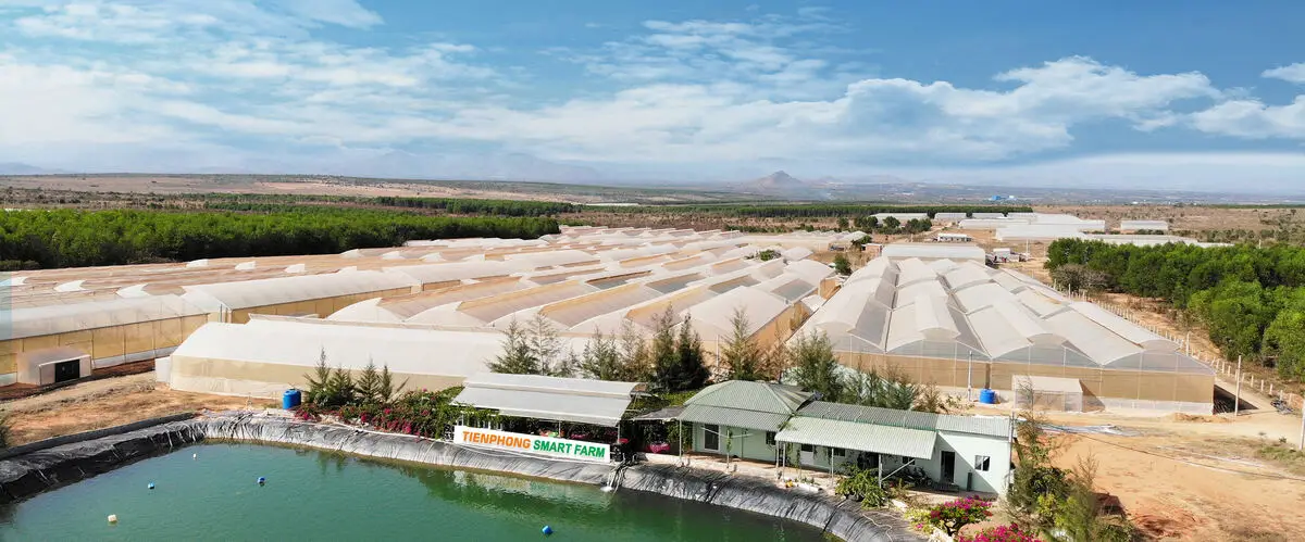 Nông trại smart farm nhà lồng trồng dưa lưới sạch cho mẹ bầu